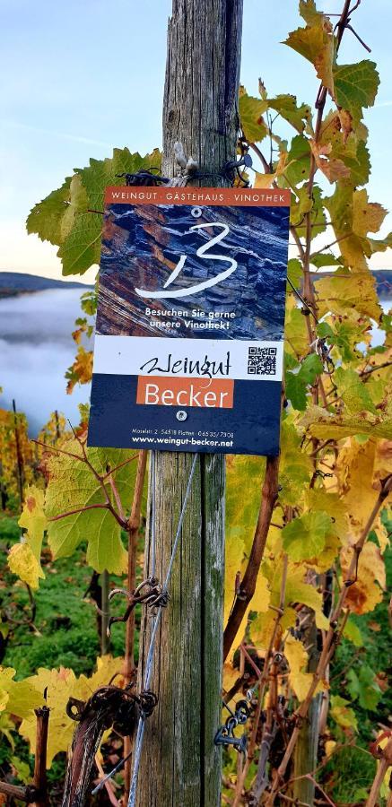 Weingut U. Gaestehaus Becker Platten Extérieur photo