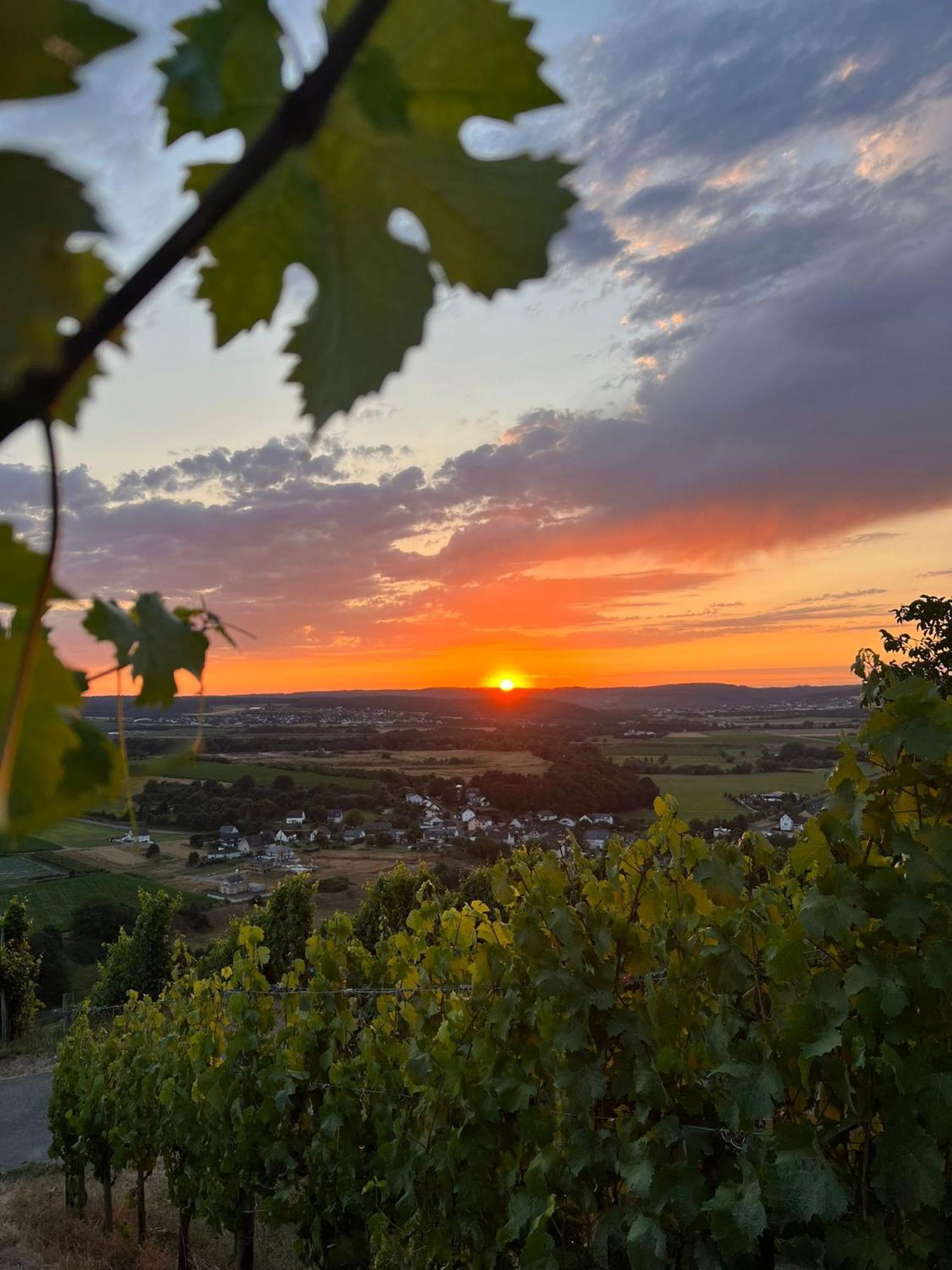 Weingut U. Gaestehaus Becker Platten Extérieur photo
